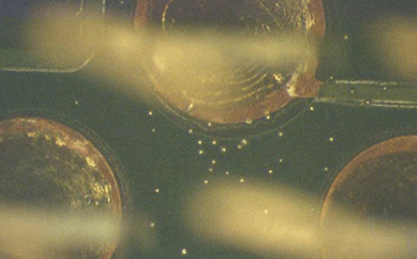 1571834629517938.jpg 錫珠.jpg